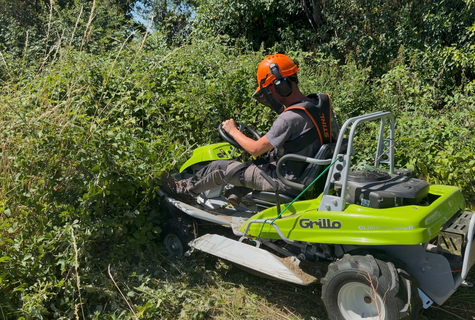 Débroussaillage de ronce