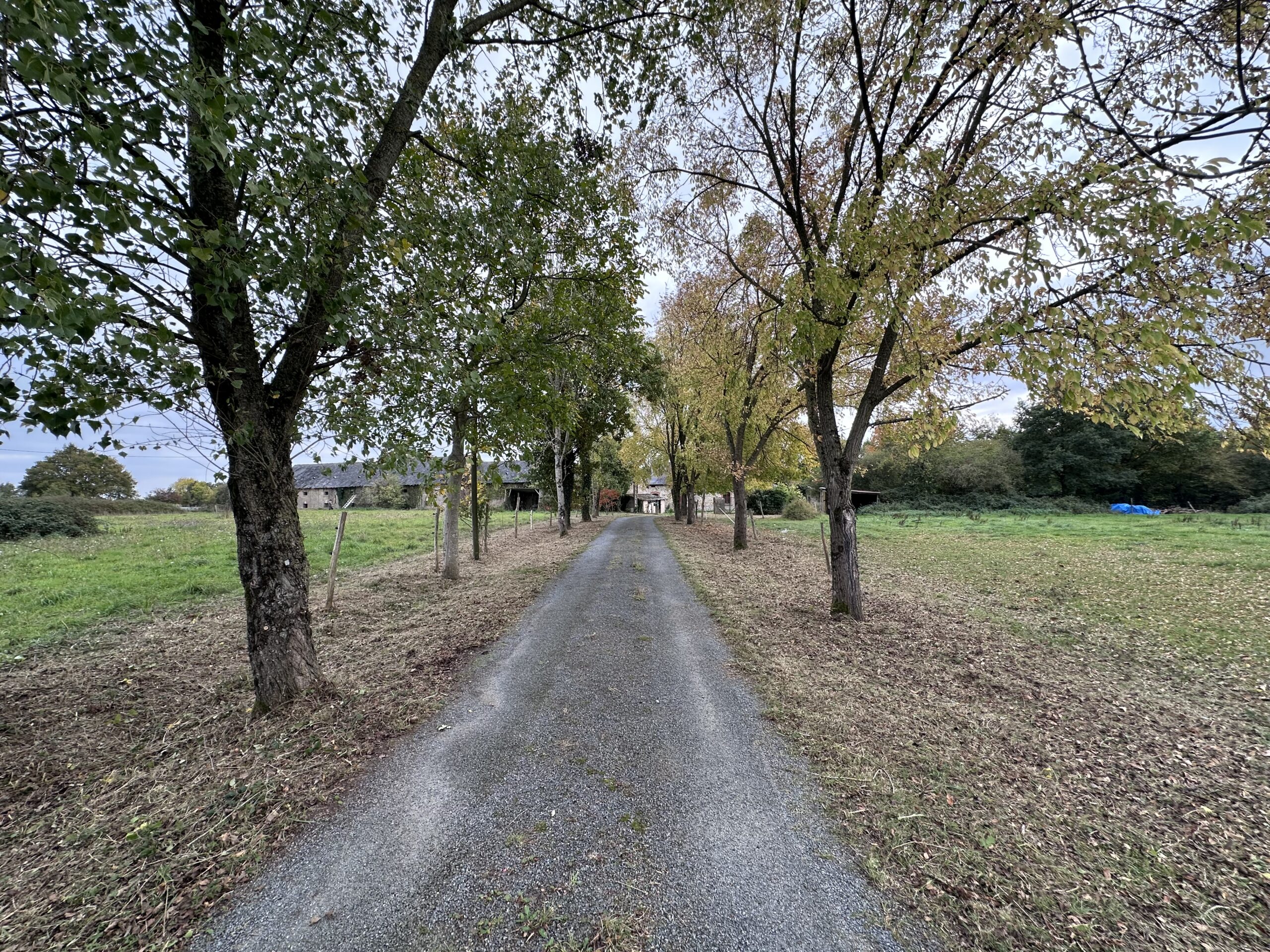 Chemin débroussailler de chaque côté